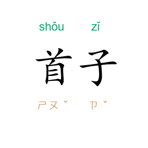 首子
