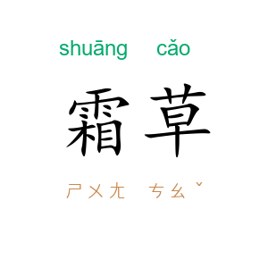 霜草