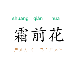 霜前花