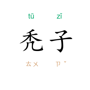 秃子