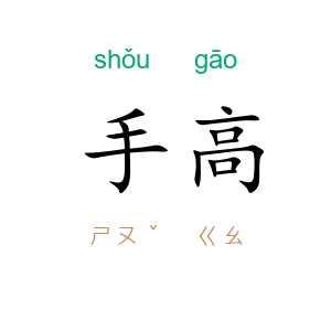 手高