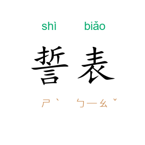 誓表