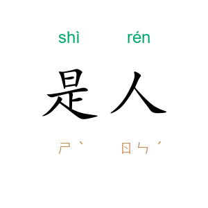是人