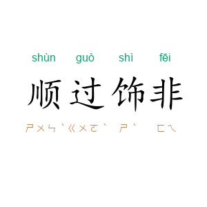顺过饰非