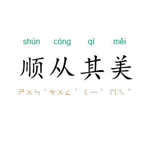 顺从其美