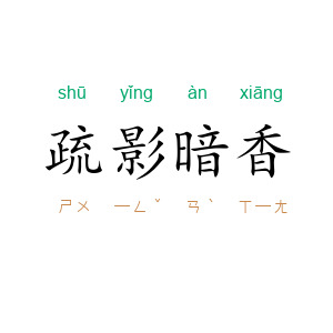 疏影暗香