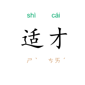 适才