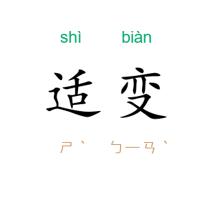 适变