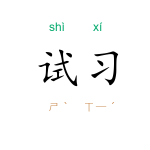 试习