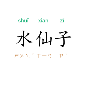 水仙子