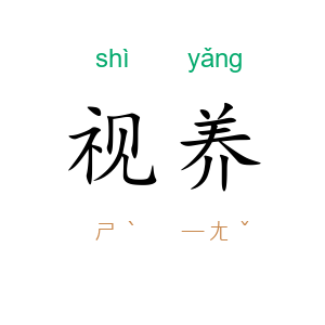 视养