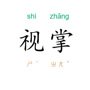 视掌