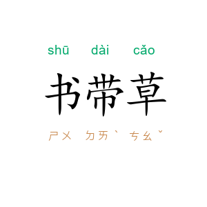 书带草