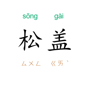 松盖