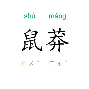 鼠莽
