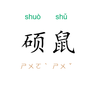 硕鼠