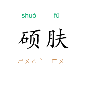 硕肤