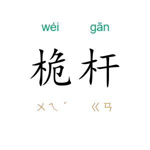 桅杆