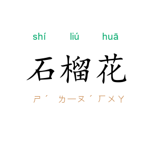 石榴花