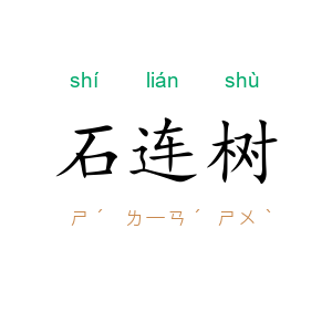 石连树