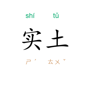 实土