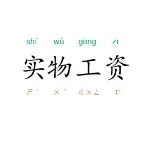 实物工资