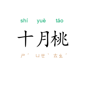 十月桃