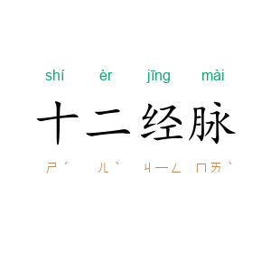 十二经脉