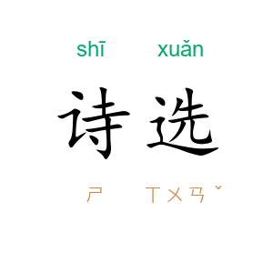 诗选