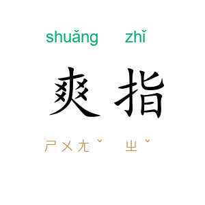 爽指