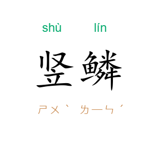 竖鳞