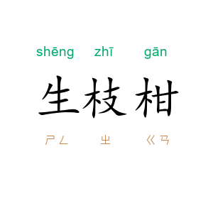 生枝柑