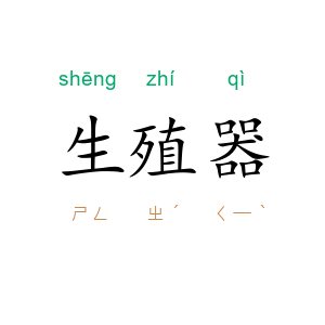 生殖器