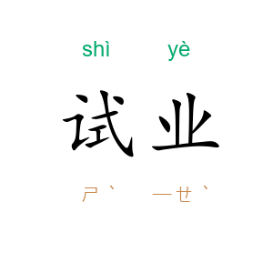 试业