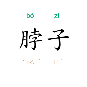 脖子