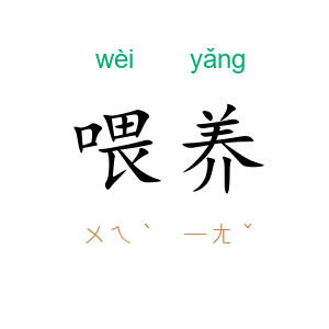 喂养