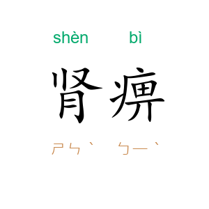 肾痹