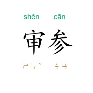 审参
