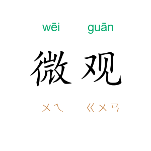 微观