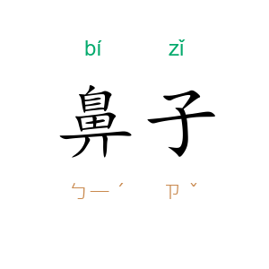 鼻子