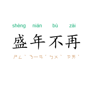 盛年不再