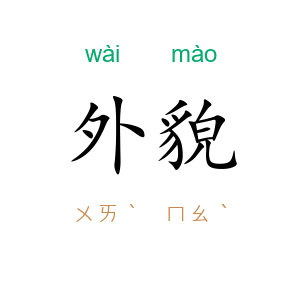 外貌