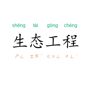 生态工程