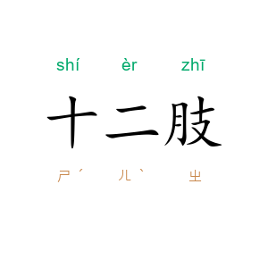 十二肢