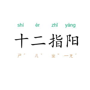 十二指阳