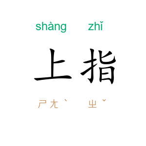 上指