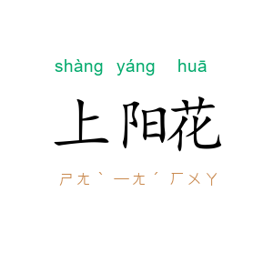 上阳花