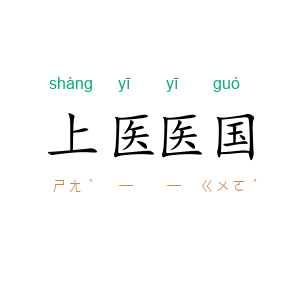上医医国