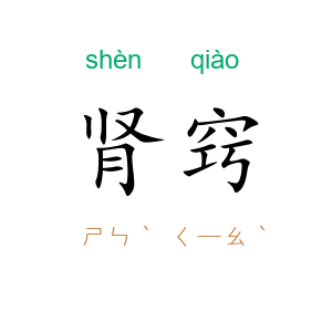 肾窍