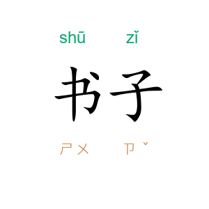 书子